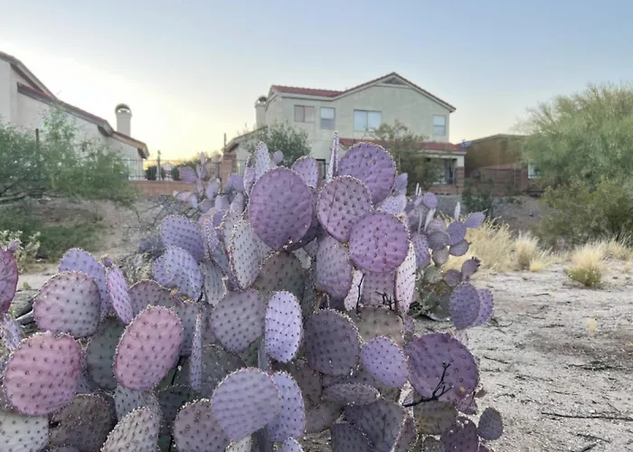 Private - Billiards, Mountain Views, Private Desert Access, Hoa Pool & Spa, Bbq, At Lambert Park - Bourbondale