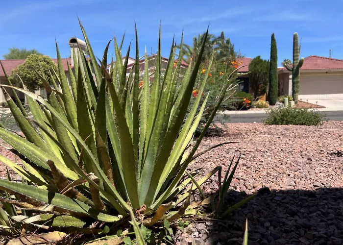 Vakantiehuis Private - Billiards, Mountain Views, Private Desert Access, Hoa Pool & Spa, Bbq, At Lambert Park - Bourbondale