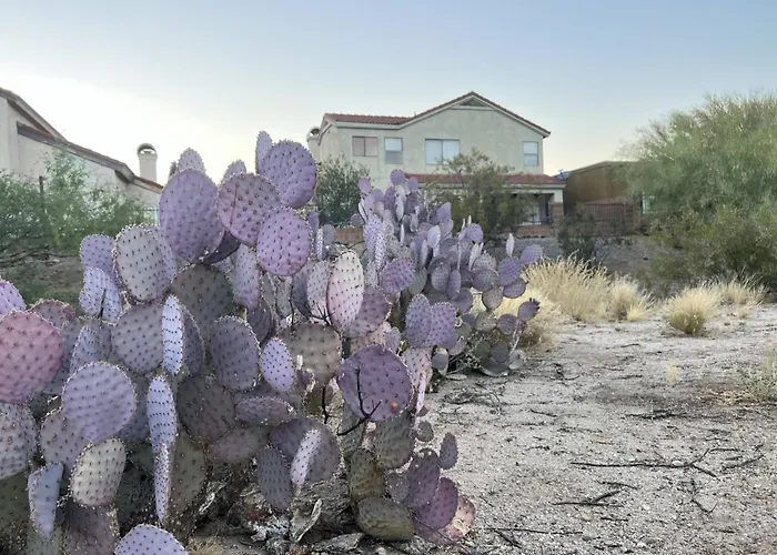 Private - Billiards, Mountain Views, Private Desert Access, Hoa Pool & Spa, Bbq, At Lambert Park - Bourbondale Tucson